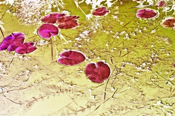 N 045B